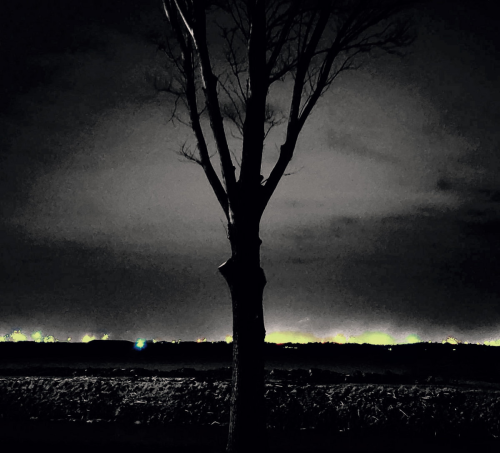 The Wounded - The Sky Is Ours