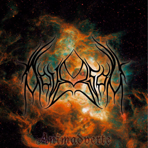 Adversam - Animadverte