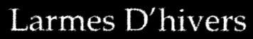 Logo Larmes d'Hivers