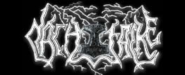 Logo Nachtfalke