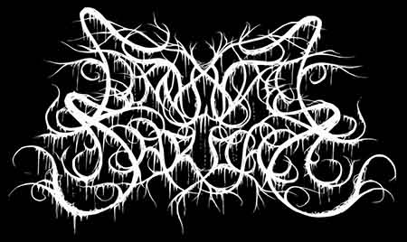 Logo Liminal Shroud